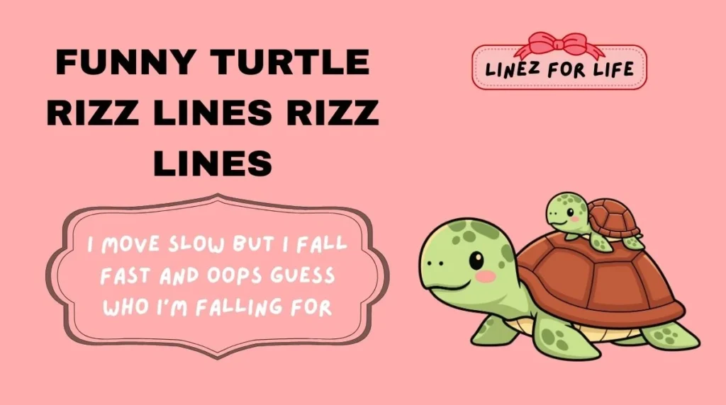 Funny Turtle Rizz Lines Rizz Lines