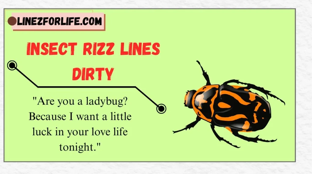 Insect Rizz Lines Dirty