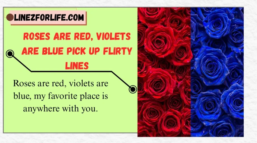 Roses Are Red, Violets Are Blue Pick Up Flirty Lines